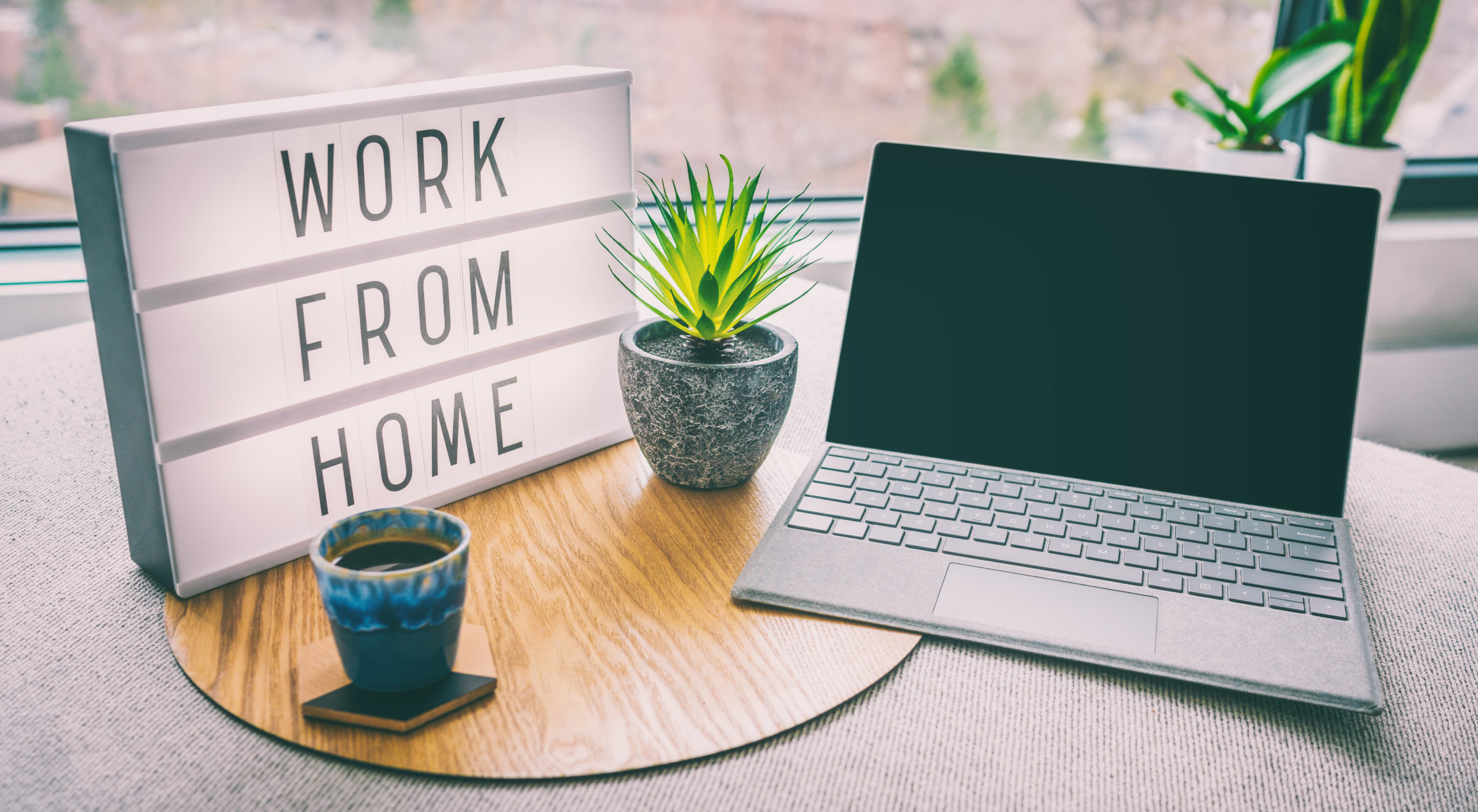 Read more about the article What you really need to know about working from home